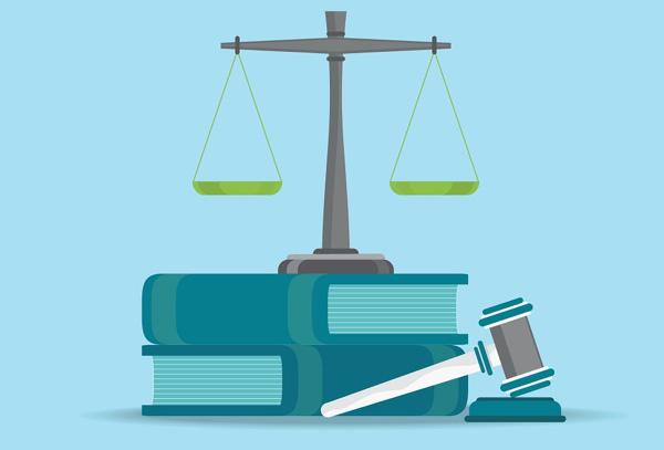 Для чего нужен устав индивидуальному предпринимателю