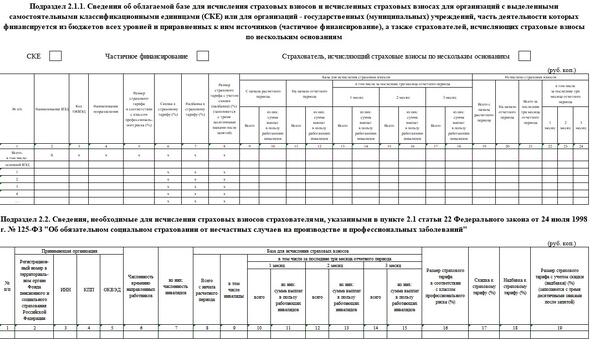 1 фк инструкция по заполнению 2023. ЕФС-1 отчет 2023 форма. Ефс1 новый отчет форма образец заполнения. ЕФС-1 за год 2023 образец заполнения. Подраздел 1.1 ЕФС-1 пример заполнения.